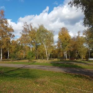 Waldparkplatz Karlsruhe Waldparkplatz Karlsruhe